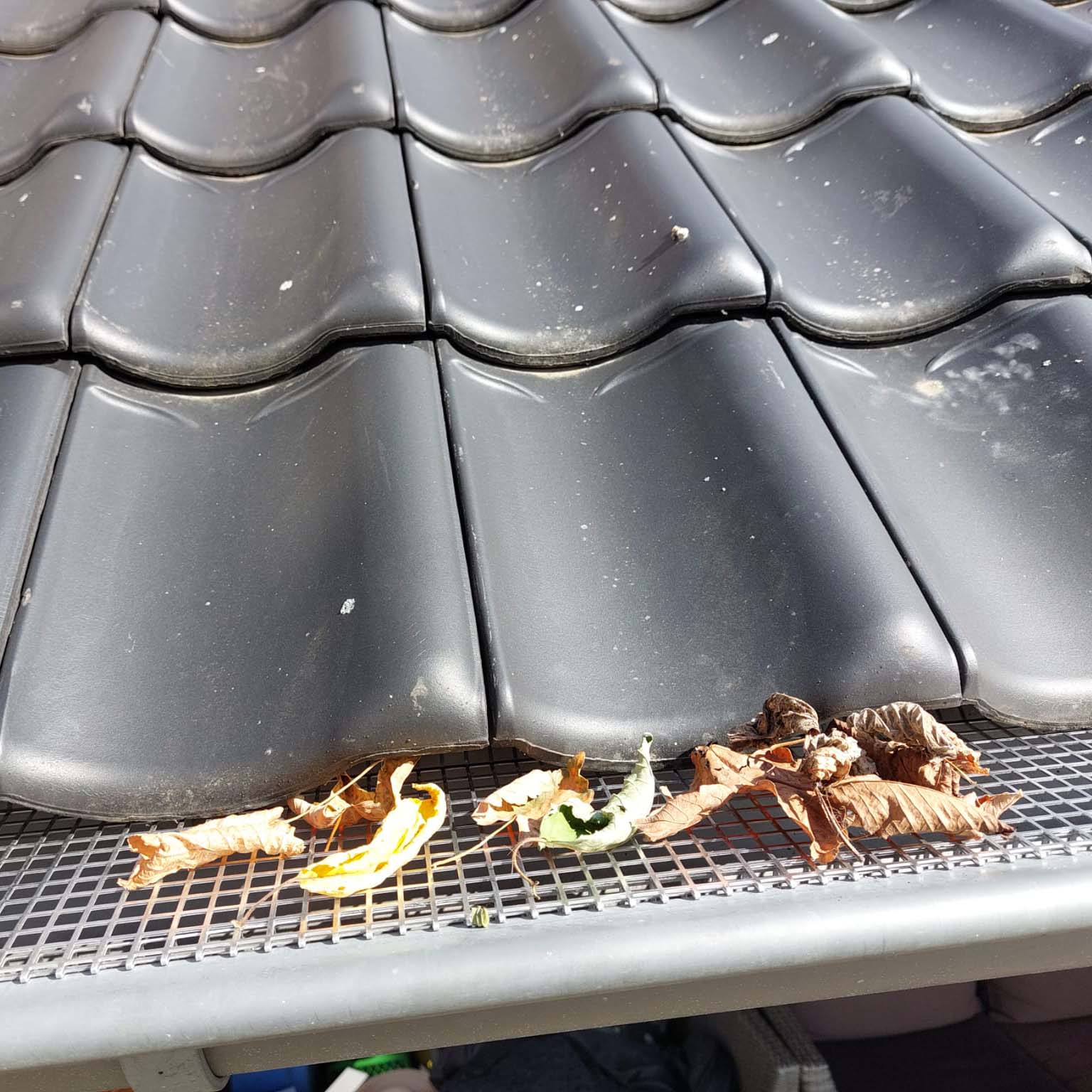 Quickgoot bladrooster voor dakgoot